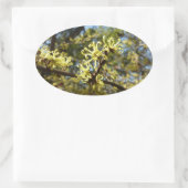 Sticker Ovale Fleurs à puces de sorcière (Sac)