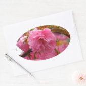 Sticker Ovale Fleurs de fleurs de cerisier rose chaud (Enveloppe)