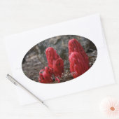 Sticker Ovale Fleurs de neige (Enveloppe)