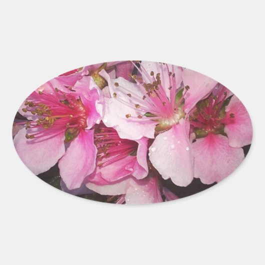 Sticker Ovale Fleurs de pêche (Devant)