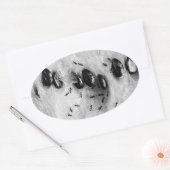 Sticker Ovale fourmis de surf (Enveloppe)