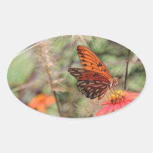 Sticker Ovale Fritillaire du Golfe sur Zinnia