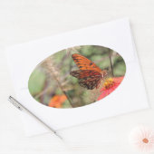 Sticker Ovale Fritillaire du Golfe sur Zinnia (Enveloppe)
