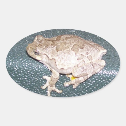 Sticker Ovale Froggy ! (Devant)