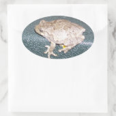 Sticker Ovale Froggy ! (Sac)