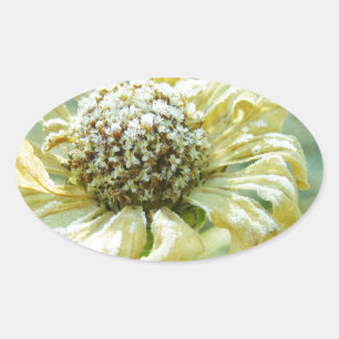 Sticker Ovale Frosty Zinna