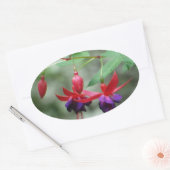 Sticker Ovale Fuschia1A.jpg (Enveloppe)