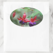 Sticker Ovale Fuschia1A.jpg (Sac)