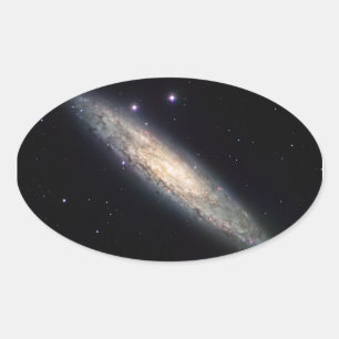 Sticker Ovale Galaxie spirale - NGC 253