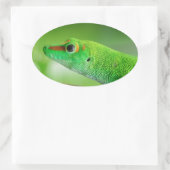 Sticker Ovale Gecko Géant de la Journée Verte - Phelsuma grandis (Sac)