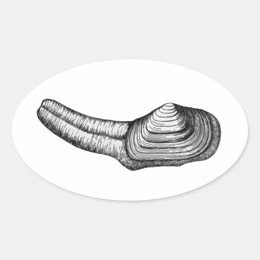 Sticker Ovale Géoduck Clam (illustration en noir et blanc) (Devant)