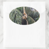 Sticker Ovale Gibbon Monkey Juste Accroché Autour, (Sac)