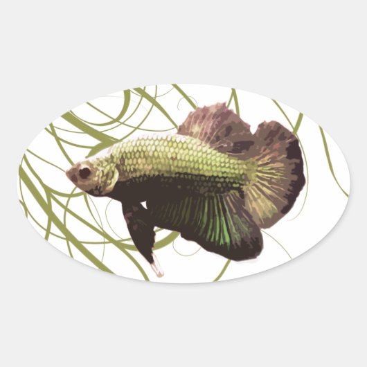 Sticker Ovale Gold Betta Siamese Poisson de combat (Devant)