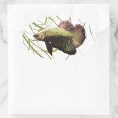 Sticker Ovale Gold Betta Siamese Poisson de combat (Sac)