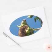 Sticker Ovale Goldfinch (Enveloppe)