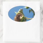 Sticker Ovale Goldfinch (Sac)