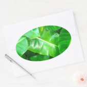 Sticker Ovale Green feuille Palm Leaf feuillage tropical jungle (Enveloppe)
