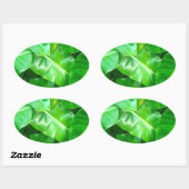 Sticker Ovale Green feuille Palm Leaf feuillage tropical jungle (Feuille)