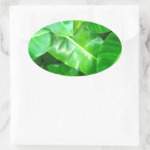 Sticker Ovale Green feuille Palm Leaf feuillage tropical jungle (Sac)