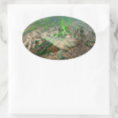 Sticker Ovale Grenouille verte (Sac)