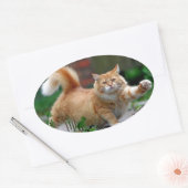 Sticker Ovale Gros chat orange (Enveloppe)