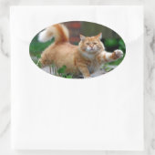 Sticker Ovale Gros chat orange (Sac)