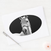 Sticker Ovale Gros plan Cheval blanc noir en nuit (Enveloppe)