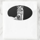 Sticker Ovale Gros plan Cheval blanc noir en nuit (Sac)