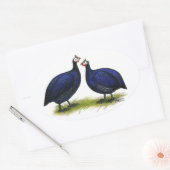 Sticker Ovale Guineas Royal Purple Pair (Enveloppe)