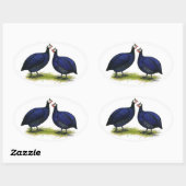 Sticker Ovale Guineas Royal Purple Pair (Feuille)