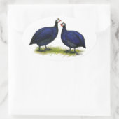 Sticker Ovale Guineas Royal Purple Pair (Sac)