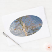 Sticker Ovale Hêtre irlandais (Enveloppe)