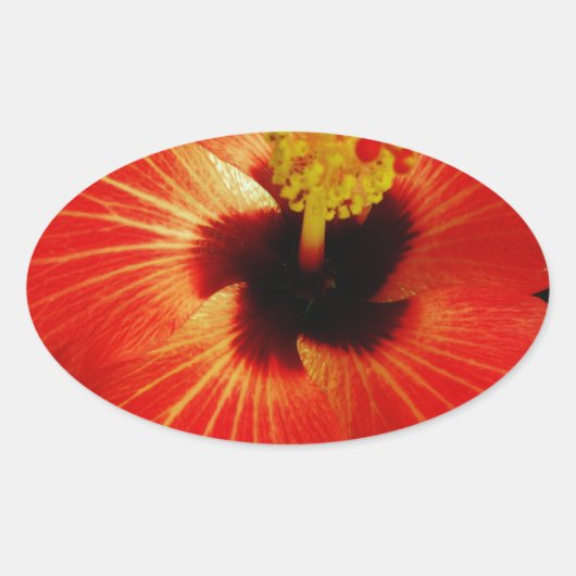 Sticker Ovale Hibiscus rouge (Devant)