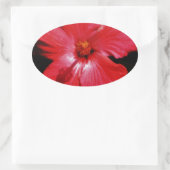 Sticker Ovale Hibiscus rouge (Sac)