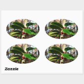 Sticker Ovale Holly Leaves (Feuille)