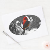 Sticker Ovale Homme Scarlet Tanager (Enveloppe)
