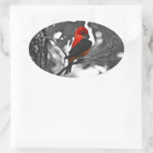 Sticker Ovale Homme Scarlet Tanager (Sac)