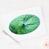 Sticker Ovale Hosta Heart (Enveloppe)