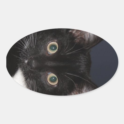 STICKER OVALE I LUV KATZ (Devant)