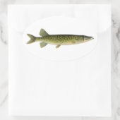 Sticker Ovale Illustration de Pickerel en chaîne (Sac)