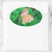 Sticker Ovale Impression de phot du chat de point de vue mignon (Sac)