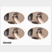 Sticker Ovale Inde Cobra (Feuille)