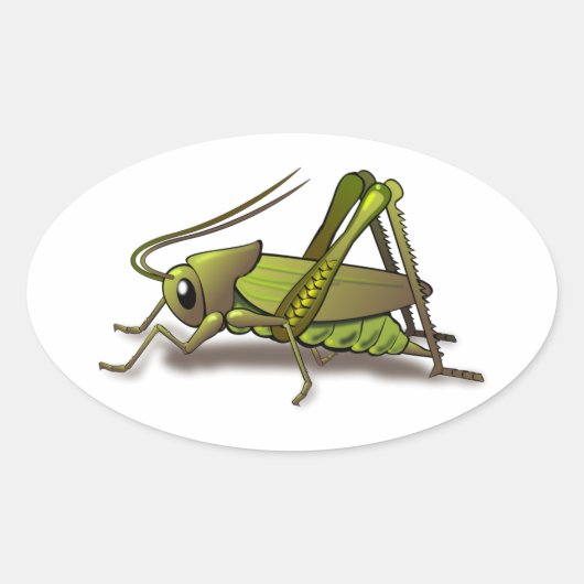 Sticker Ovale Insecte verte au cricket (Devant)