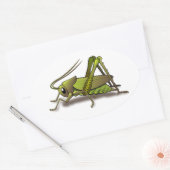 Sticker Ovale Insecte verte au cricket (Enveloppe)