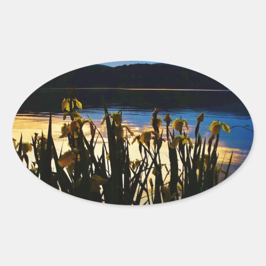 Sticker Ovale Iris jaunes sur la rive du lac Arrowhead (Devant)
