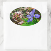 Sticker Ovale Iris Nain Crêché (Sac)