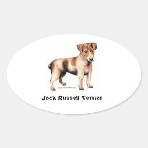 Sticker Ovale Jack Russell Terrier