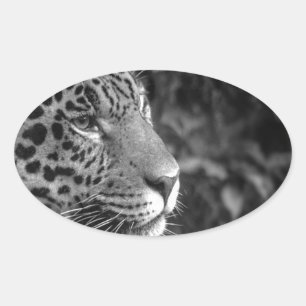 Sticker Ovale Jaguar en noir et blanc