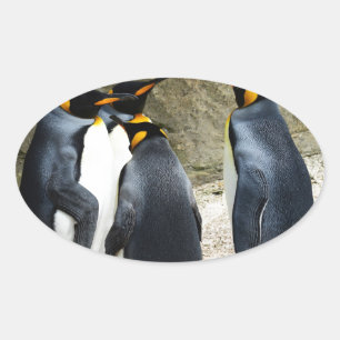 Sticker Ovale King Penguin