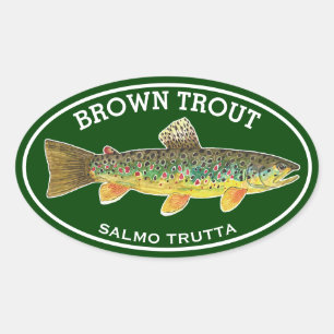 Sticker Ovale La Belle Truite Brune